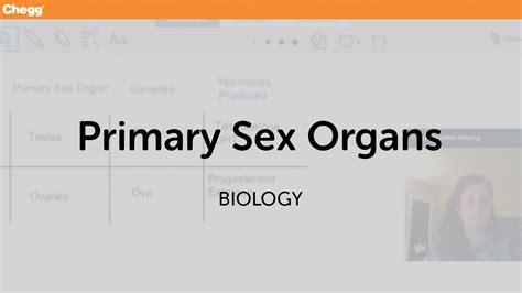 Primary And Secondary Sex Organs Biology Chegg Tutors