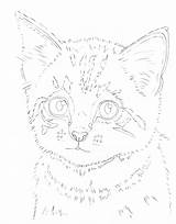 Kitten Drawing Pastel Realistic Drawings Outline Cute Cat Draw Pencils Line Getdrawings Kittens Coloring Pencil Choose Board Pages Cartoon sketch template