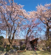 京都 佐野邸 に対する画像結果.サイズ: 173 x 185。ソース: www.nippon.com