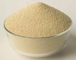 semolina flour   kg bagswholesale semolina flour buy semolina flour  saledurum wheat