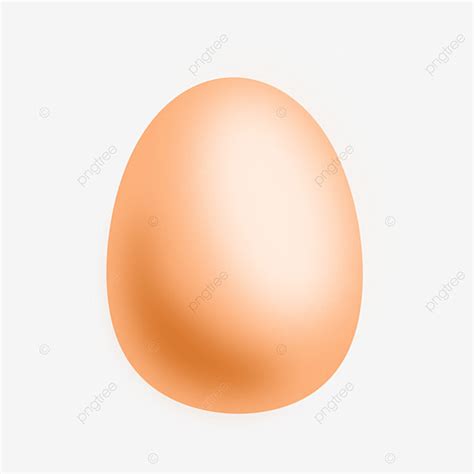 Gambar Telur Ayam Telur Png Telur Telur Png Transparan Clipart Dan