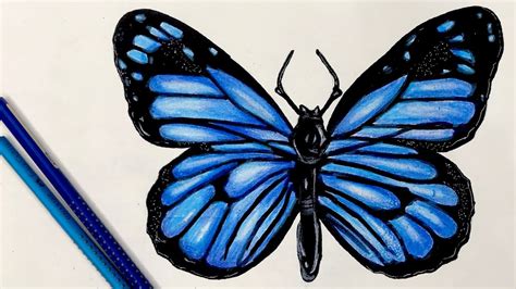 draw butterfly easy youtube