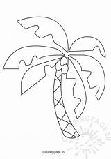 Palm Tropical Coconut Tree Hawaiian Trees Template Coloring Pages sketch template