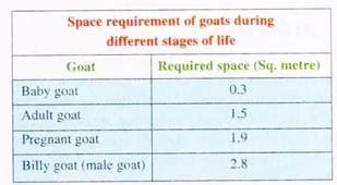 manage  goat farm  aspects