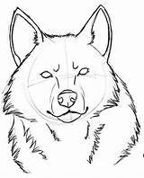 Wolf Head Drawing Easy Sketch Drawings Line Face Draw Snarling Sketches Coloring Cool Side Anime Google Un Heads Paintingvalley Wolves sketch template