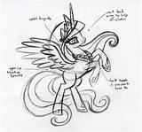 Mlp Faust Lauren Pony Celestia Little Princess Signed Fim Sketch Notes Passion Their Fashion G4 sketch template