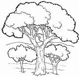Tree Arbre Coloring Choose Board Cool Trees Pages Coloriage sketch template