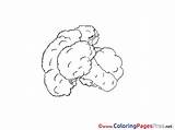Cauliflower Printable Colouring Coloring Sheet Title sketch template