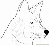 Coyote Coloringpages101 sketch template