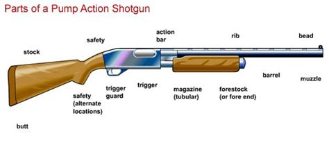 principal parts   shotgun gunpartsshotgunflashgif gun pinterest shotguns