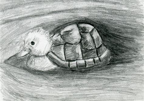 turtle duck pencil drawing black  white print hybrid animals