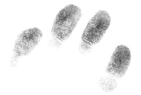 fingerprint identification digital  forensic assurance