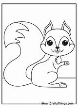 Squirrels Pages Squirrel Iheartcraftythings sketch template
