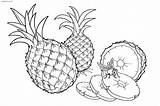 Plants Fruits Coloring Pineapple Pages Berries Apples sketch template
