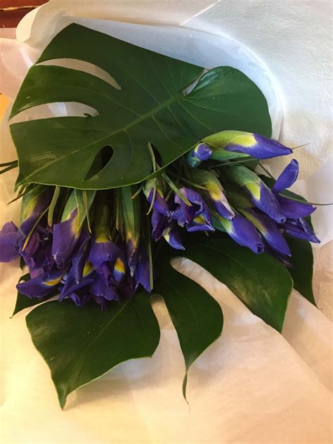 blue iris blue irises buy   big bunch
