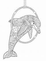 Dolphin Zentangle Bright sketch template