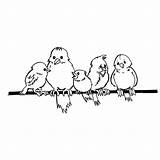 Sparrow Coloring Pages Sparrows Colouring Color Print Animals Five Little Printable Charlotte Diamond Animal Back sketch template