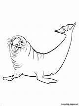 Coloring Seal Elephant Getcolorings sketch template