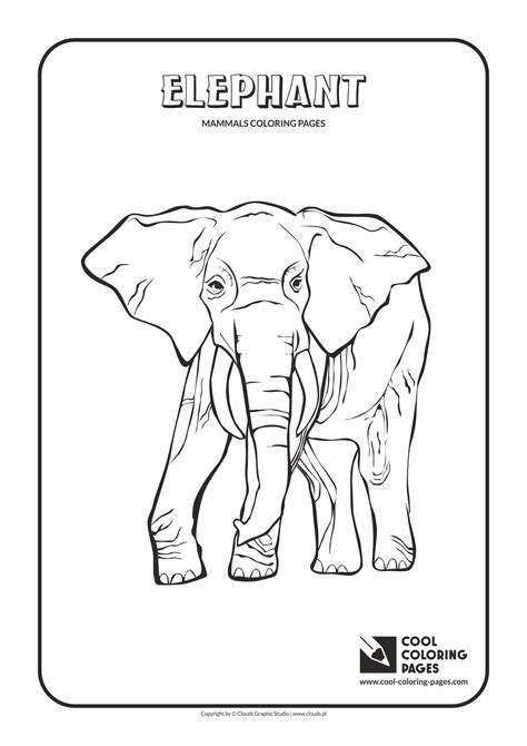 top indian animals coloring pages   images hot