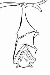Bat Coloring Pages Vampire Getcolorings sketch template