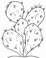 Cactus Coloring Pages Printable Desert Plants Kids Drawing Cute Barrel Print Plant Color Sheet Saguaro Cool2bkids Cartoon Getdrawings Getcolorings Gaddynippercrayons sketch template