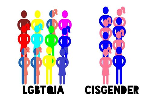 differenza fra sesso biologico orientamento sessuale  identita  genere  dabliu fuori
