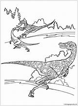 Velociraptor Pages Coloring Dinosaurs Coloringpagesonly Dinosaur Color sketch template