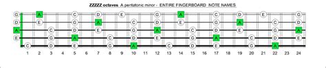 5 String Bass Guitar Fretboard Notes Music Instrument