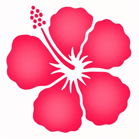 hibiscus drawing simple clipart