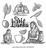 Lanka Harvesting sketch template