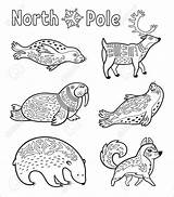 Arctic Geplaatst Overzichts Kleuren Polar Coloringbay sketch template