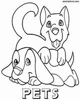 Pets Coloring Pages Print Animal Colorings Coloringway sketch template