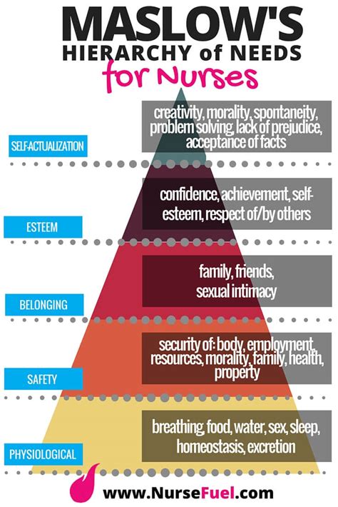 maslow s hierarchy of needs nursefuel