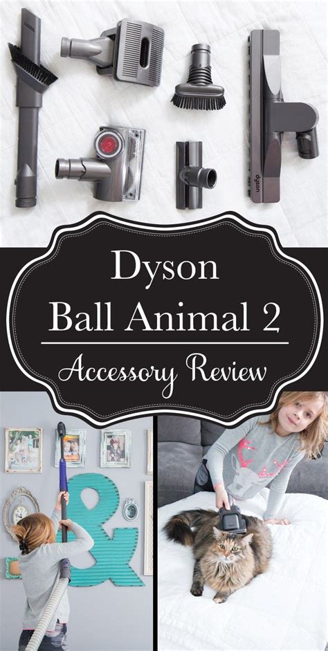 review   dyson ball animal   amazing accessories    surprising