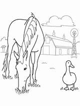 Coloring Pages Horse Farm Animal Printable Herd Print Templates Template Kids Animals Color Sheets Horses Rocks Frame Two Getcolorings Shape sketch template