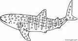 Whale Shark Coloring Pages Easy Printable Vector Fish Cute Print Big sketch template