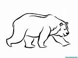 Mewarnai Beruang Polar Buku sketch template