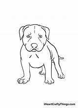 Pitbull Nose Iheartcraftythings sketch template