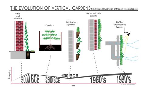 history  vertical gardens  simple vines  hydroponic systems
