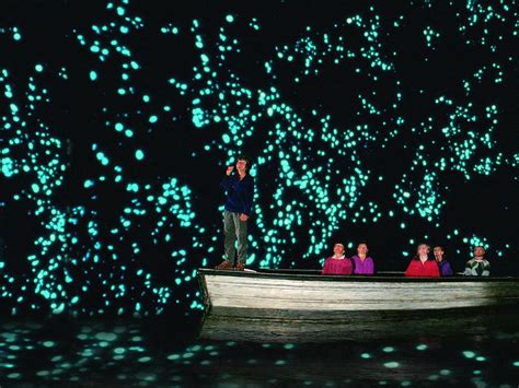 waitomo glowworm caves day   zealand