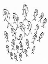 Vissen Poissons Banc Kleurplaat Fisch Malvorlagen Pesci Colorare Poisson Dieren Malvorlage Ikan Mewarnai Pesce Animasi Gratuit Animaatjes Fishes Stemmen Ausmalbild sketch template