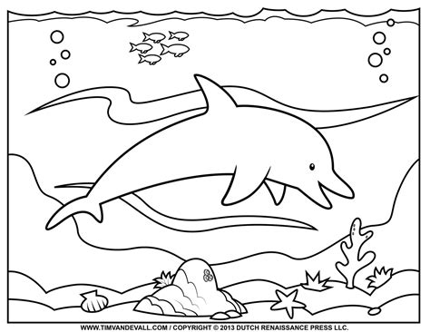 printable dolphin pictures printable blank world