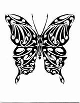 Butterfly Tribal Tattoo Library Clipart Papilio Machaon sketch template