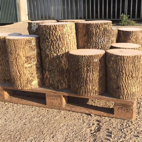 troncos de madera productos de madera