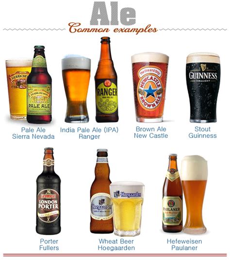 easy guide  beer styles terms history primer