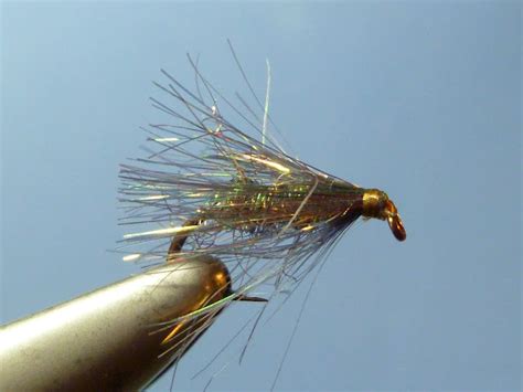 tying today