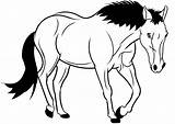 Cavalo Cavalos Colorear Caballos Desenho Cavallo Tegninger Pixabay Disegno Hest Pferd Heste Malvorlagen Kleurplaat Pferde Stampare Mayores Kolorowanki Galopie Konie sketch template
