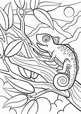 Chameleon Kameleon Dieren Wilde Kleurplaten Camaleonte Selvatici Schattige Kolorowanki Bestcoloringpagesforkids Siede Carino Piccolo Chameleons Camouflage Dzieci Wydrukowania Mayka sketch template