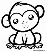 Monkey Coloring Pages Drawing Cute Animal Easy Choose Board sketch template