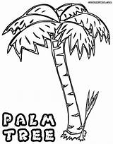Palm Coloring Pages Print sketch template